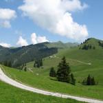 Blick zurück zum Rinderberg