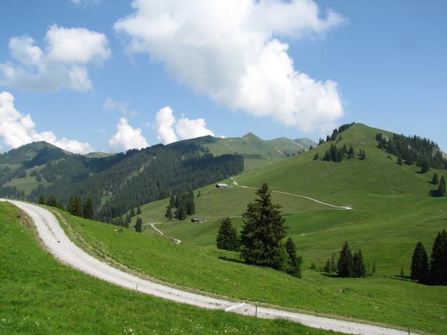 Blick zurück zum Rinderberg