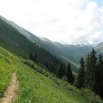 nach Obere Zwitzeregg auf Punkt 1847 m.ü.M. biegen wir in das Turbachtal hinein