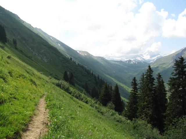 nach Obere Zwitzeregg auf Punkt 1847 m.ü.M. biegen wir in das Turbachtal hinein