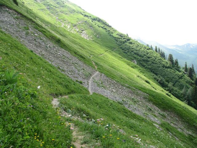 1856 m.ü.M. der Weg führt nun sanft über die steilen Heumäder vom Heuberg