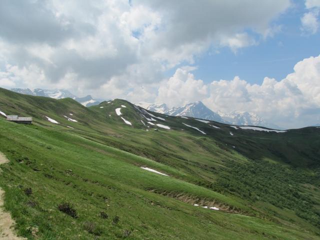 bei Obere Trütlisberg 2006 m.ü.M.