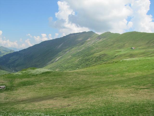 Blick zurück von wo wir gekommen sind. Alles am Hang vom Wistätterhore entlang