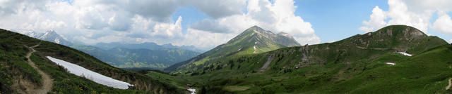 Breitbildfoto vom Trüttlisbergpass aus gesehen. Wildhorn, Lauenen, Lauenehore, Giferspitz, Losegg und Tube