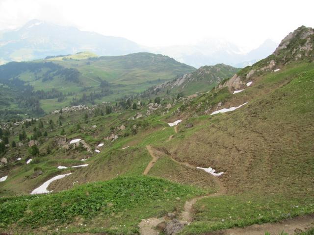 auf dem Weg zum Betelbergmeder