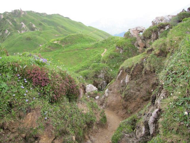 tief eingegraben ist hier der Wanderweg