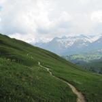 auf der Alp Betelbergmeder