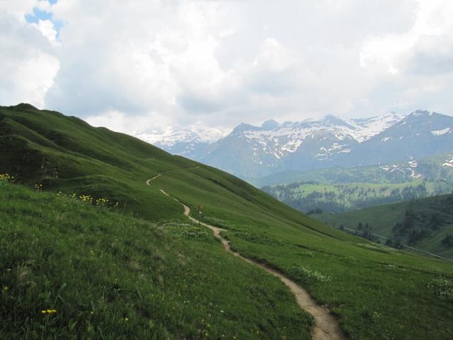 auf der Alp Betelbergmeder