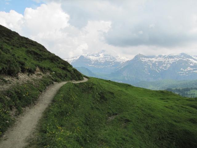 kurz vor dem Leiterli