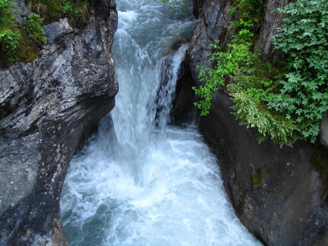 die Simme führt im Sommer bis zu 3000 Liter Wasser pro Sekunde
