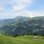 Blick auf die andere Talseite vom Obersimmental zum Albristhore. Dort oben waren wir auch schon