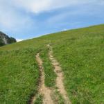 auf der Langermatte fand die legendäre "Wyberschlacht" statt. Lenker Frauen schlugen hier die Walliser in die Flucht