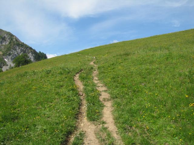 auf der Langermatte fand die legendäre "Wyberschlacht" statt. Lenker Frauen schlugen hier die Walliser in die Flucht