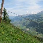 Tiefblick in das Ober Simmental