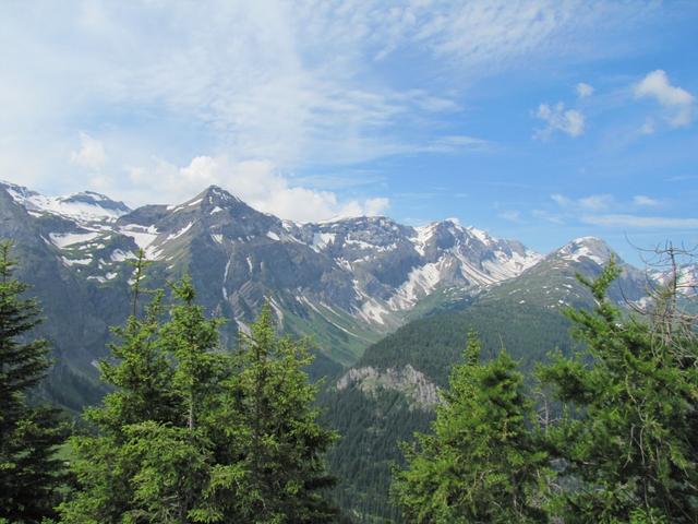 Blick Richtung Wildhorn, Wildhornhütte (dort waren wir auch schon), Iffigenalp und Mittaghore