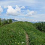 bei Punkt 1971 m.ü.M. vom Ober Laubhorn was für eine schöne Aussicht von so einem kleinen Berg!