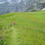 auf dem Weg hinunter zur Langermatte und zur Wegkreuzung bei Punkt 1857 m.ü.M.