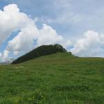 Blick hinauf zum Ober Laubhorn