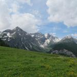 Blick in das Iffigtal, Mittaghore, Schnidehore, Wildhornhütte, Wildhorn und Iffighore