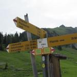 Wegweiser bei Ritz 1740 m.ü.M. nun geht es abwärts zur Iffigenalp