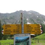 Wegweiser auf der Iffigenalp 1584 m.ü.M.