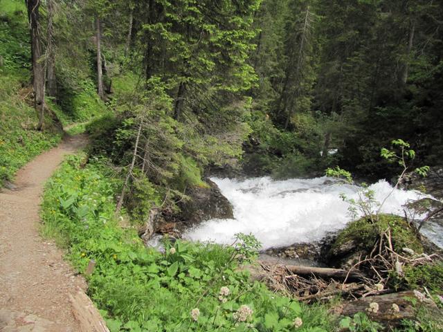 alles dem Iffigenbach entlang, abwärts Richtung Lenk