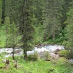 der Wanderweg führt einem direkt neben dem Iffigenbach zum Iffigfall