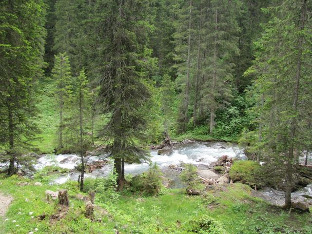 der Wanderweg führt einem direkt neben dem Iffigenbach zum Iffigfall