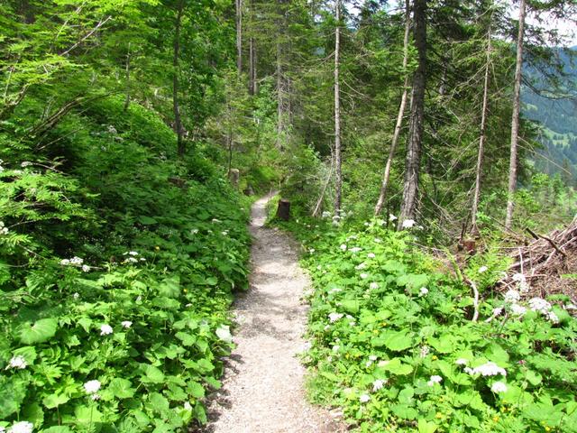 wirklich ein schöner Wanderweg