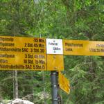 Wegweiser bei Fallweid 1399 m.ü.M. kurz vor dem Iffigfall