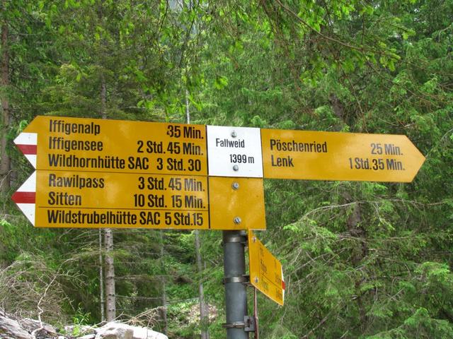 Wegweiser bei Fallweid 1399 m.ü.M. kurz vor dem Iffigfall