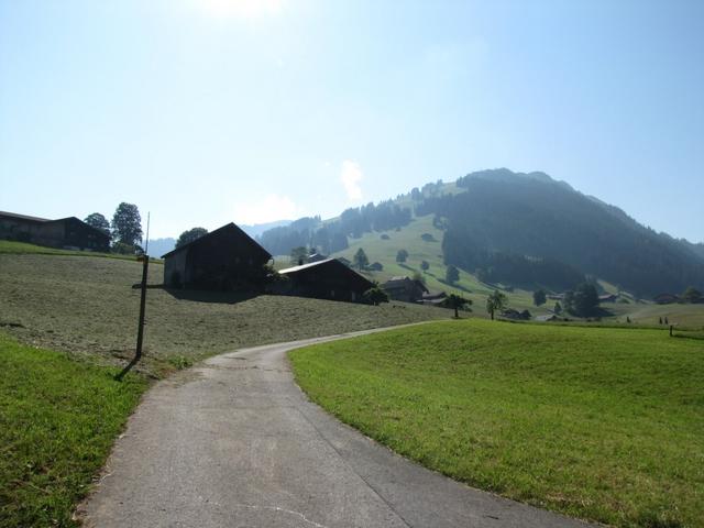 bei Egg auf dem Weg zur Talstation der Wasserngratbahn