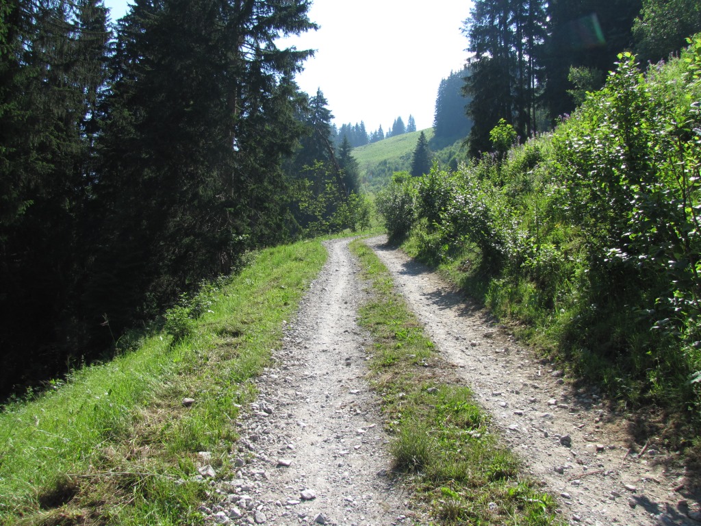 auf der Alpstrasse zwischen Schibe und Stutz