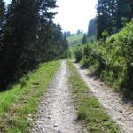 auf der Alpstrasse zwischen Schibe und Stutz