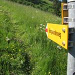 von Gstaad hinauf zum Wasserngrat sind es fast 1000 Höhenmeter. Achtung! die Seilbahn fährt nur im August und im Winter