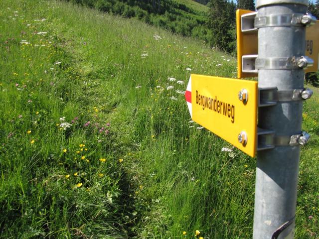 von Gstaad hinauf zum Wasserngrat sind es fast 1000 Höhenmeter. Achtung! die Seilbahn fährt nur im August und im Winter