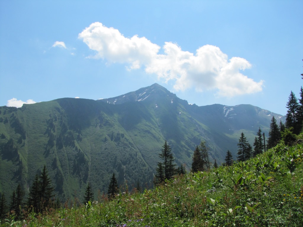 Blick auf die andere Talseite vom Turnelstal zum Giferspitz. Dort oben waren wir auch