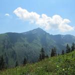 Blick auf die andere Talseite vom Turnelstal zum Giferspitz. Dort oben waren wir auch