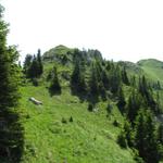 jetzt beginnt endlich das schönste Teilstück der heutigen Wanderung