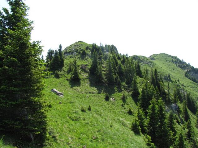 jetzt beginnt endlich das schönste Teilstück der heutigen Wanderung