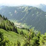 1000 Höhenmeter tiefer liegt das Lauenental