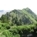 der Bergpfad gut ersichtlich am Wasserngrat mit Burgfelse und Stand