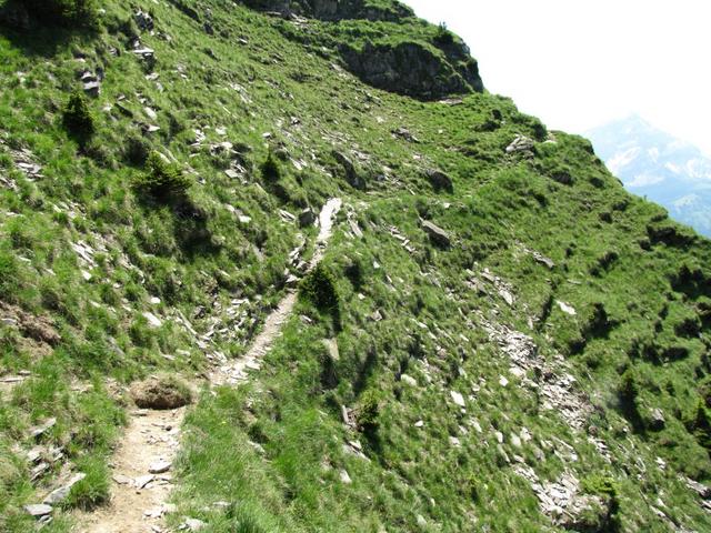 der Weg schlängelt sich ohne nennenswerter Höhenunterschied unterhalb vom Wasserngrat