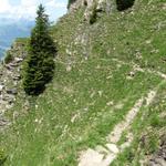 Blick zurück. Gut ersichtlich wie steil die Westflanke des Wasserngrat ist