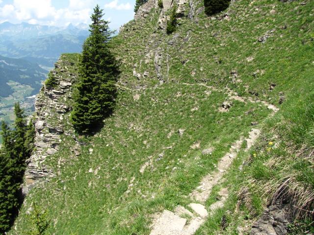 Blick zurück. Gut ersichtlich wie steil die Westflanke des Wasserngrat ist