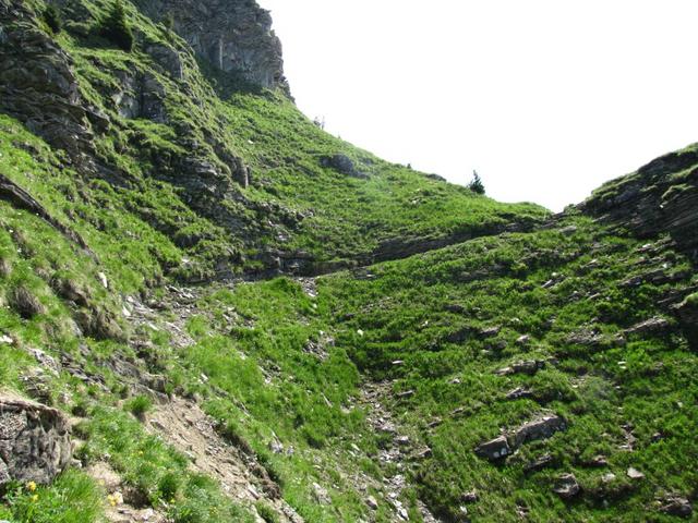 bei Wandeliflue 2203 m.ü.M. ist der höchste Punkt der Bergwanderung erreicht. Soweit ist es aber noch nicht