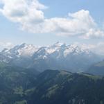 Blick zum Les Diablerets Massiv