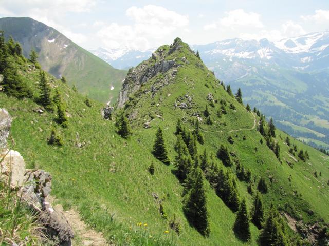 kurz vor der Schutzhütte