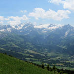 sehr schönes Breitbildfoto mit Lauenental, Wildhorn und Les Diablerets