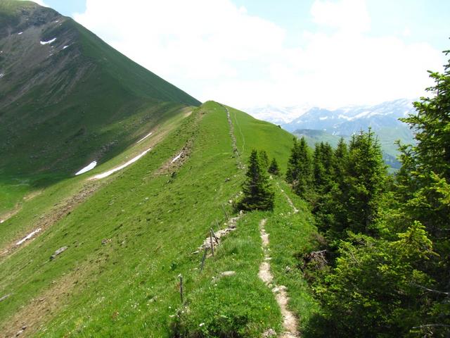 bei Punkt 2113 m.ü.M. mit Blick auf den Turnelsattel